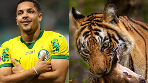 Bản hợp đồng hớ của Barca nguy cơ bị treo giò 10 trận vì bài đăng nhạy cảm